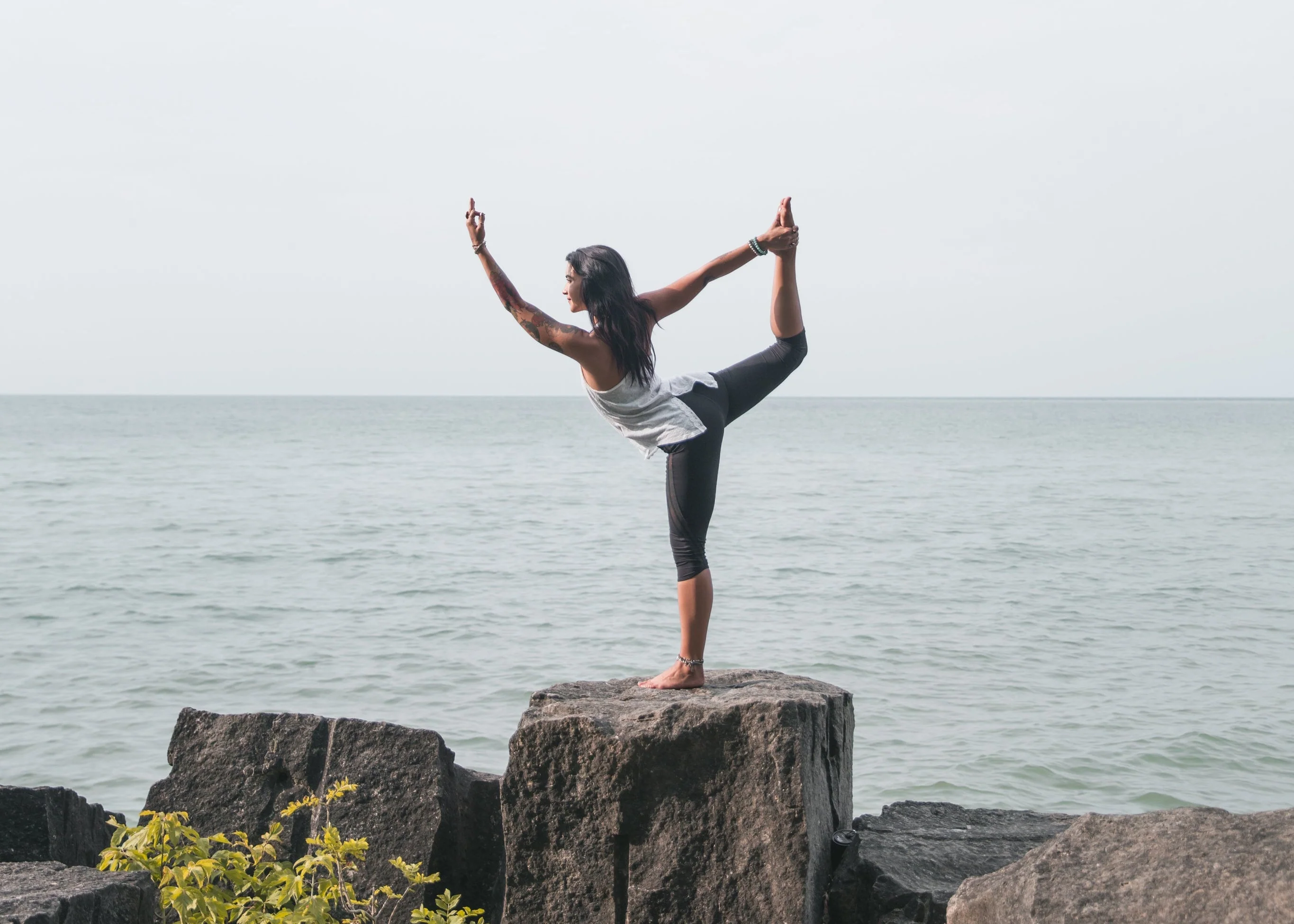 Elevate Your Everyday With Nerova